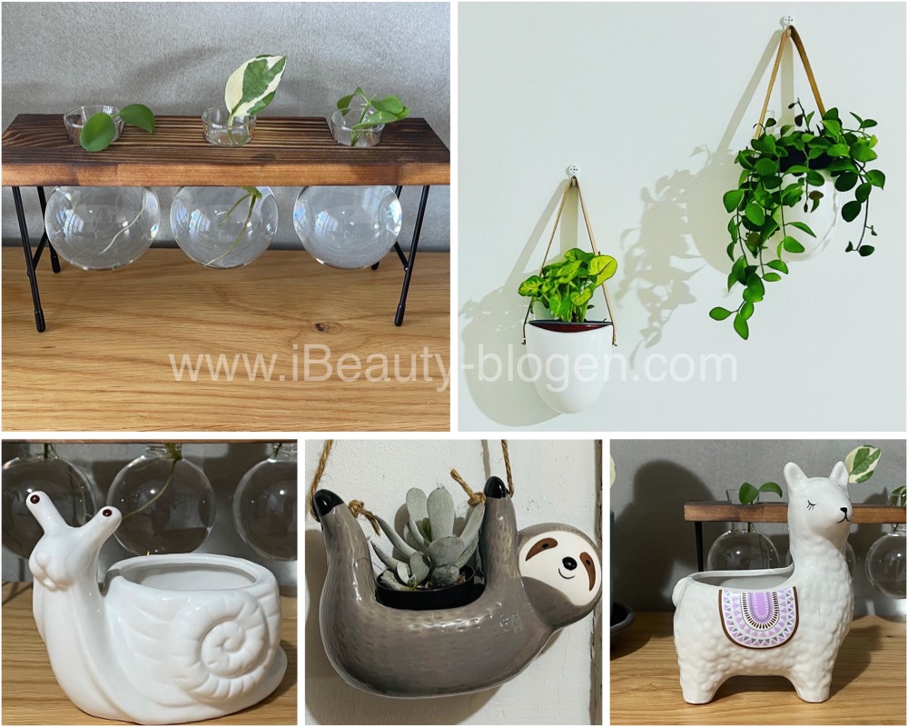 6 Gardening, Plants and Flowers Growing Ideas from Amazon & Aliexpress [Planting&nbsp;Ideas]